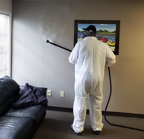 Disinfectant fogging services